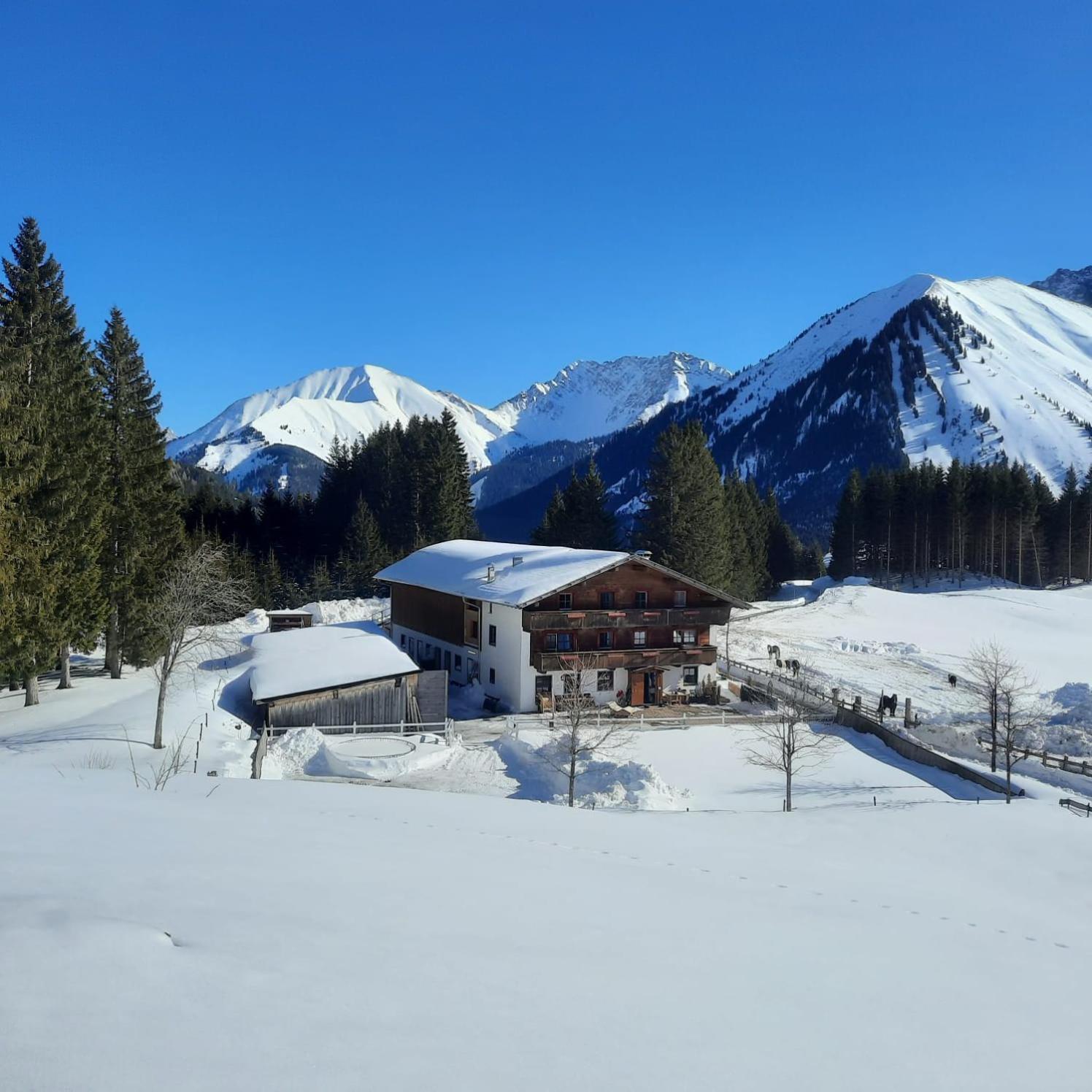 Appartement Huberbauer Hof Berwang