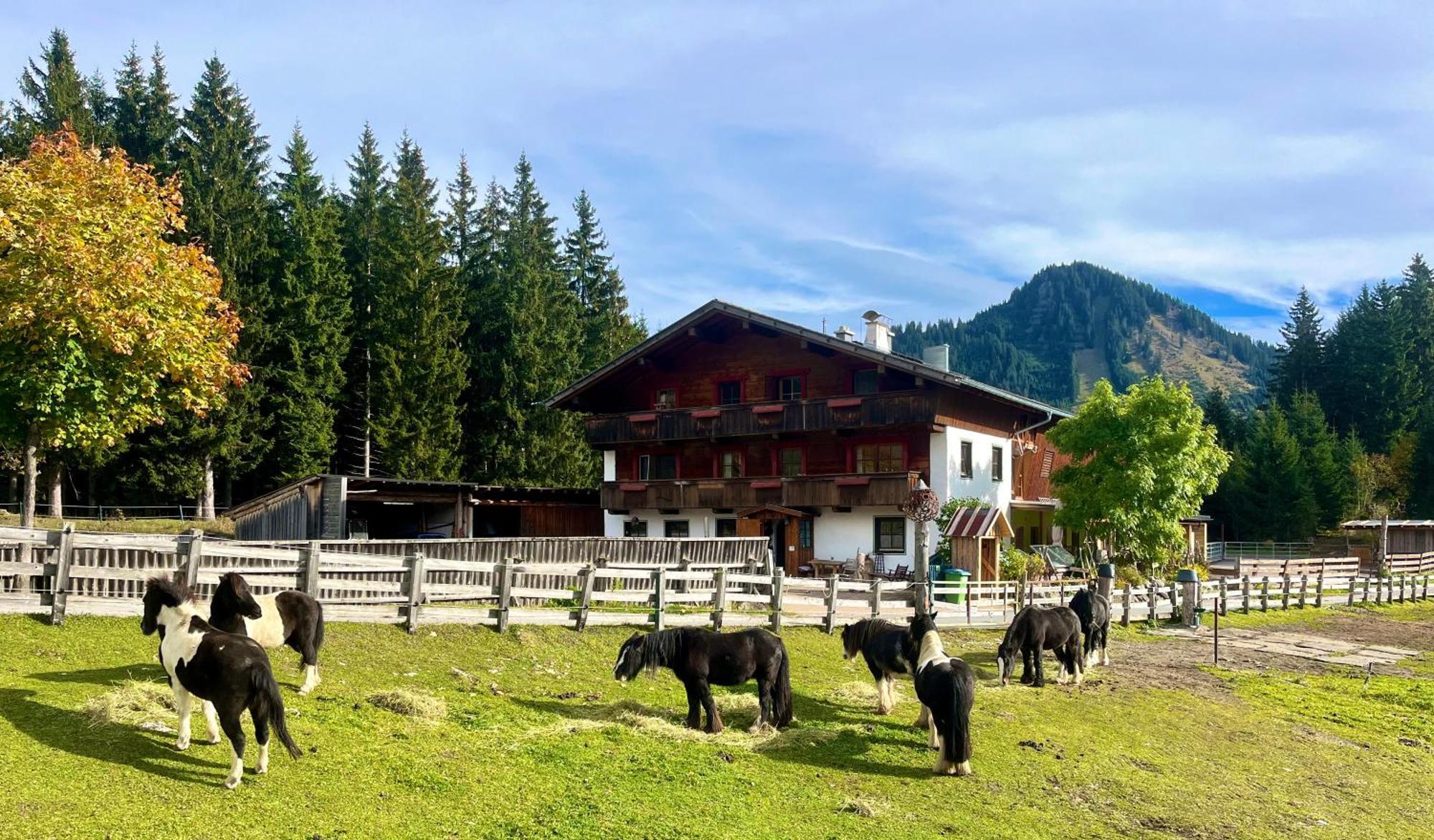 Huberbauer Hof * Berwang